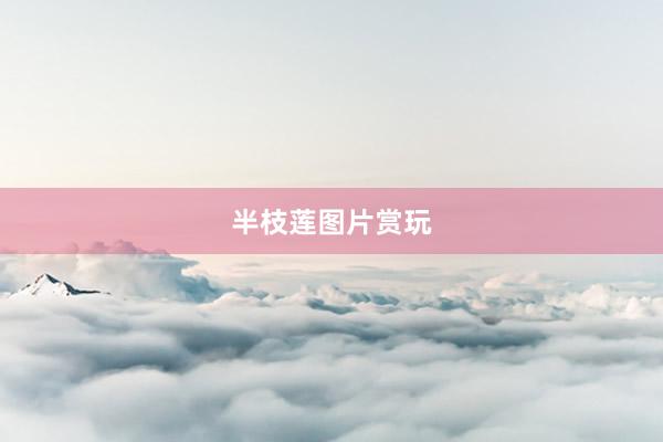 半枝莲图片赏玩