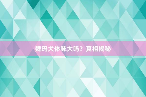 魏玛犬体味大吗？真相揭秘