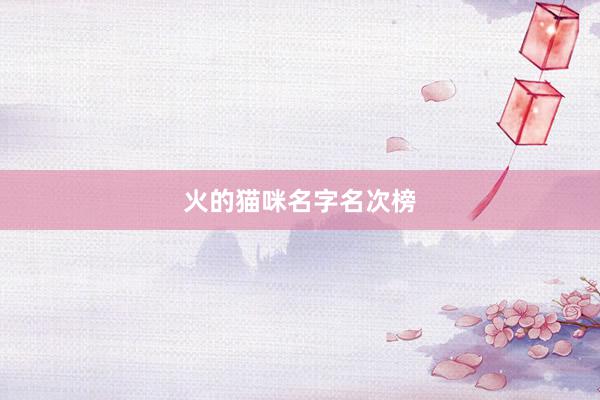 火的猫咪名字名次榜